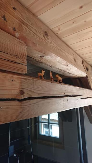 Mothsgut - Moderne Ferienwohnung Auf Dem Bauernhof Im Erzgebirge Oelsnitz  외부 사진